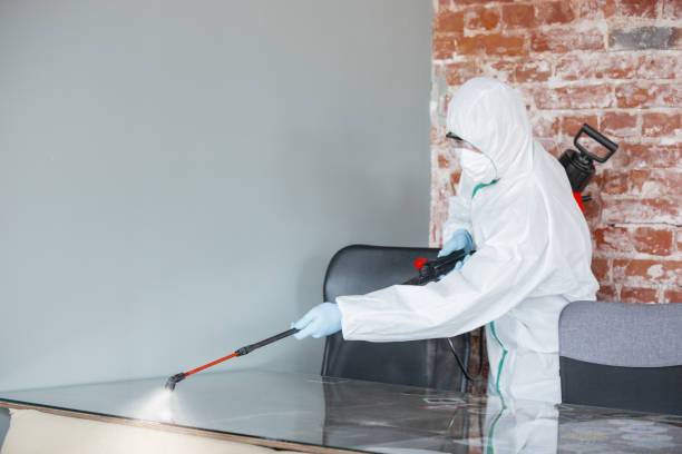 Best Mold Damage Restoration  in Holiday Heights, NJ